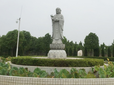 墓区