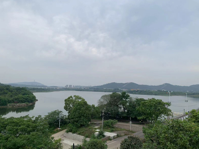 洪山陵园优美风景
